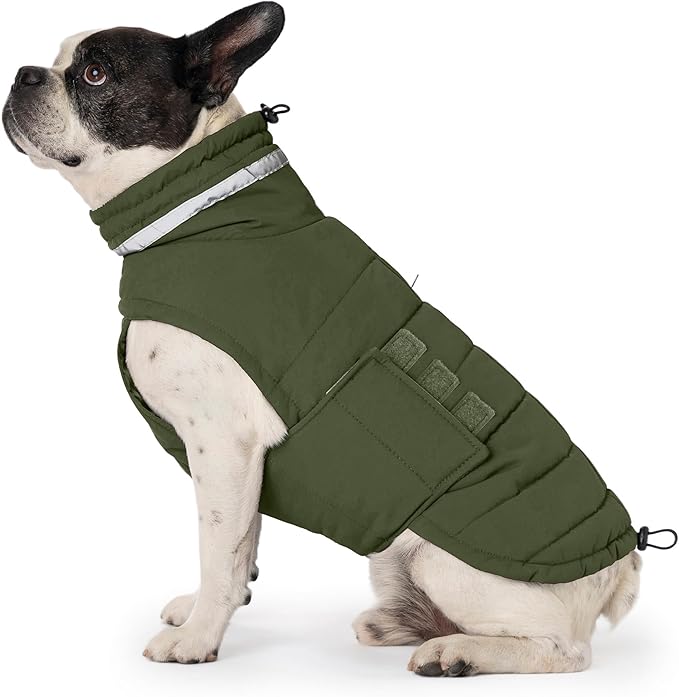 Dog Coat, Waterproof Winter Jacket, Warm Windproof Jacket, Reflective Adjustable Turtleneck Coats for Medium Dogs with Hook & Loop - Green - M