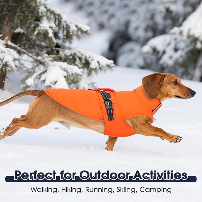 IECOii Coats for Dogs - Reflective, Adjustable & Windproof, Dachshund Jacket for Winter, Fall, and Spring, Waterproof & Cozy Fleece Lined Snow Vest with Easy-On Buckles, Orange, Size M