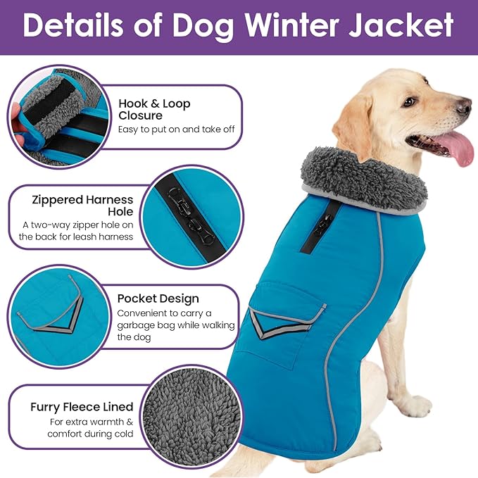 SUNFURA Dog Winter Coat, Medium Dog Coat Jacket with Fleece Lining for Cold Weather, Warm Puffer Jacket Turtleneck Snowsuit with Leash Hole for Jack Russel, Boston Terrier, Turquoise M