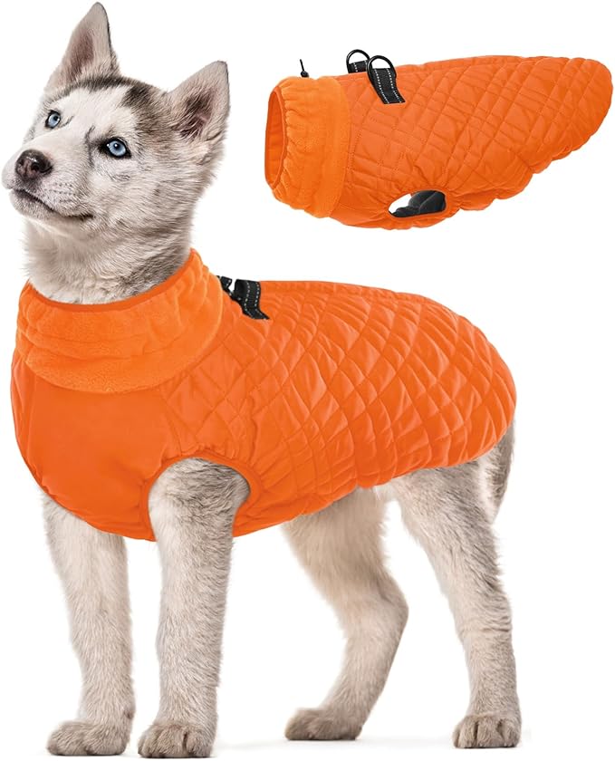 Kuoser Medium Dog Coat | All-Breed Thermal Wear with Windproof Layer | Reflective Tabs Enhance Visibility in Snow, Snap Buckles Simplify Dressing, Orange M