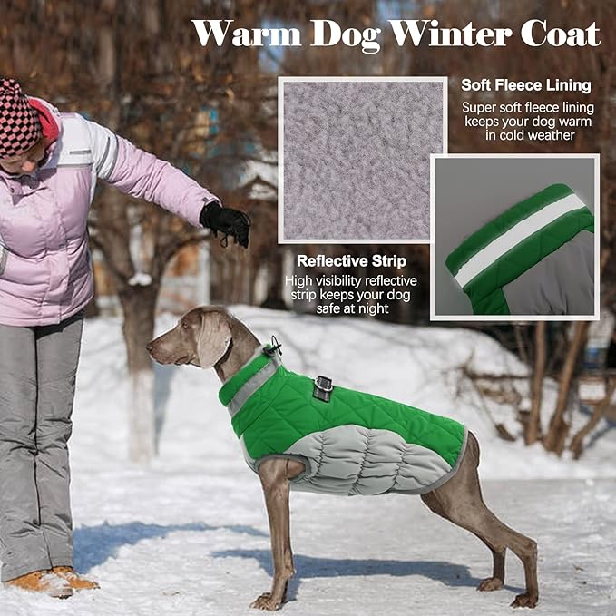 LeLePet Warm Dog Winter Coat, Waterproof, Fleece, Green, X-Small, Turtle Neck, Adjustable, Windproof, for All Breed Sizes