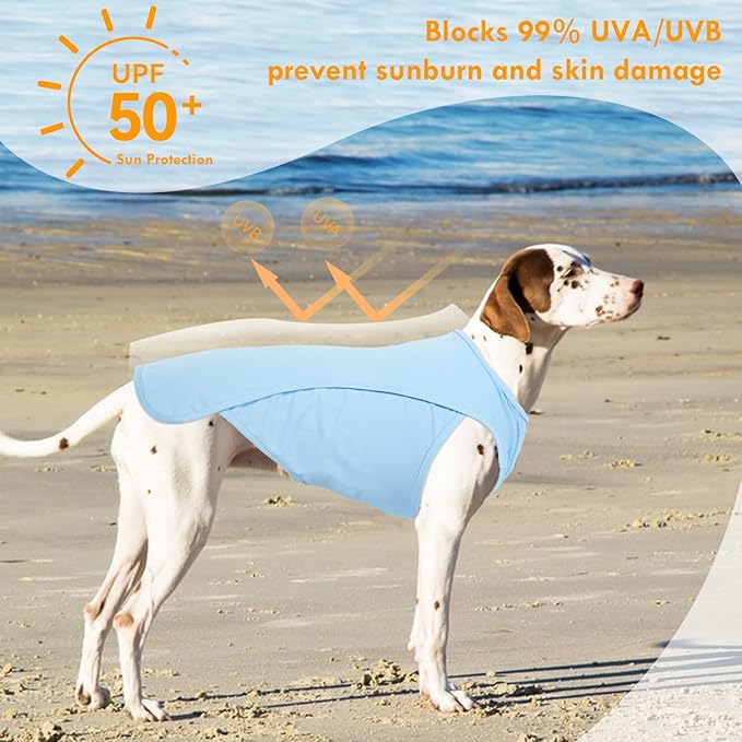 2 Pack Dog T-Shirt, Quick Dry Durable Shirts for Large Dogs, Summer Cooling Sun Protection Clothes, Breathable Prevents Overheating Vest, Blue+Grey, 5XL