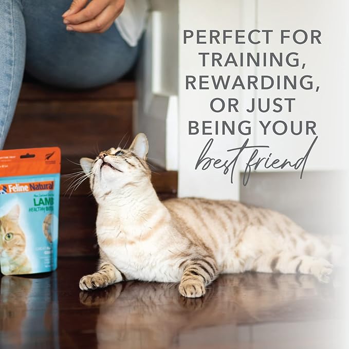 Feline Natural Freeze Dried Cat Treats – New Zealand Single-Source Protein Treats for Cats - Grain-Free Healthy Cat Snacks, Lamb Bites, 1.76oz (Pack of 2)