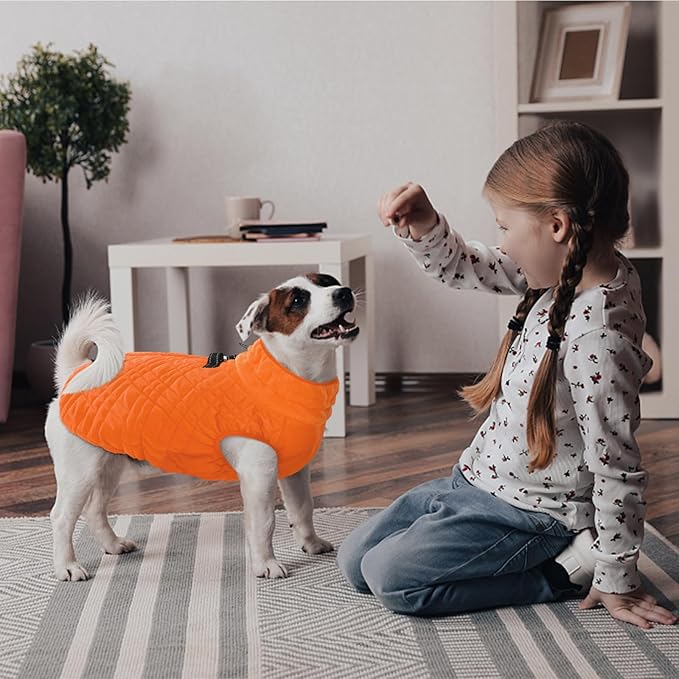 Kuoser XL Insulated Dog Vest | Big Breed Jacket for Huskies & Shepherds | Reinforced Seams Withstand Snow Play, Breathable, Orange XL