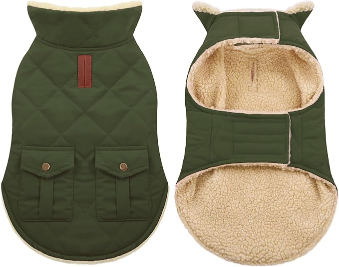 ASENKU Warm Dog Winter Coat, Waterproof Dog Coat for Cold Weather, Fleece Dogs Jacket with Ultra Thick Plush Lining Leash Hole Storage Pockets for Medium Dogs (Green, Medium)