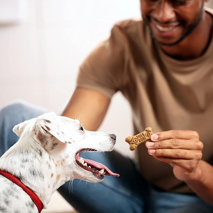 Milk-Bone Flavor Snacks Small Dog Biscuits, Flavored Crunchy Dog Treats, 7 Pound Box
