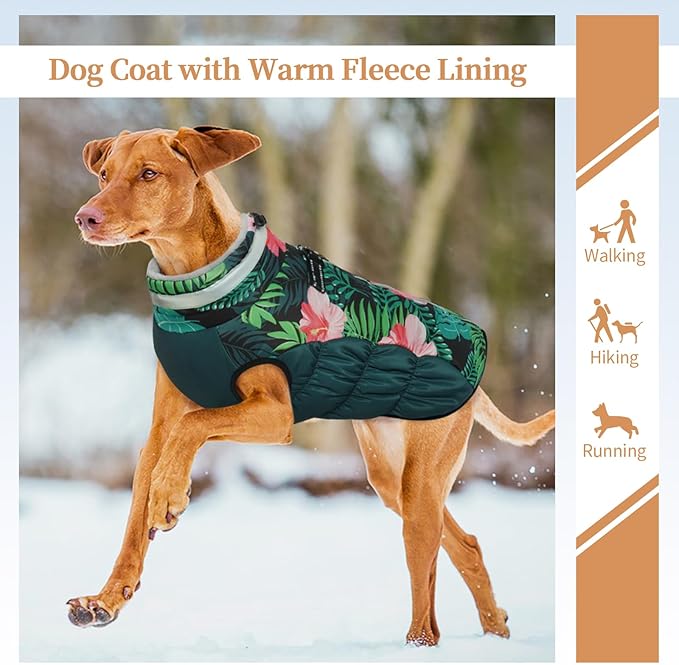 Dog Jackets for Medium Dogs,Medium Dog Coat,Warm Pet Winter Coat Zip Up Back,Waterproof Dogs Jacket with D-Ring,Pet Cold Weather Coats with Fleece Lined, Snowsuit Pug Boston Terrier,M