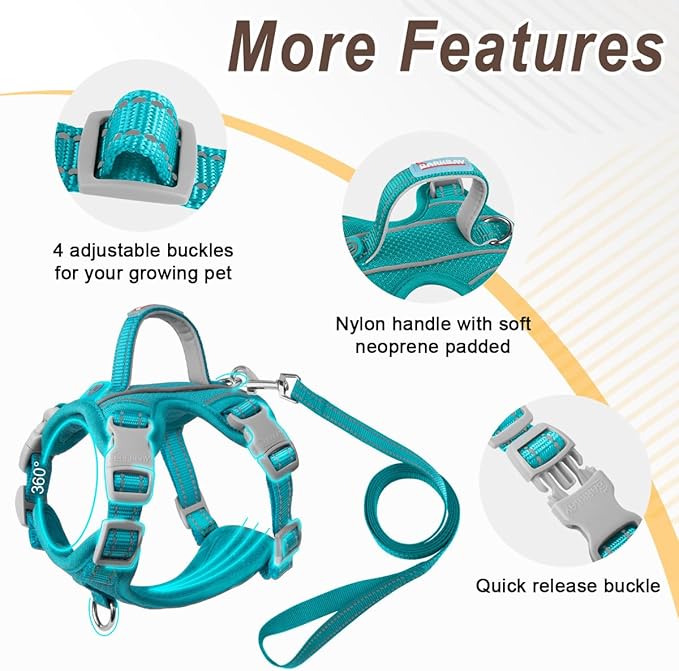 Cat Harness and Leash Set for Walking Escape Proof for Small Large cat Kitten Harness with ID tag Pocket (Blue,S)