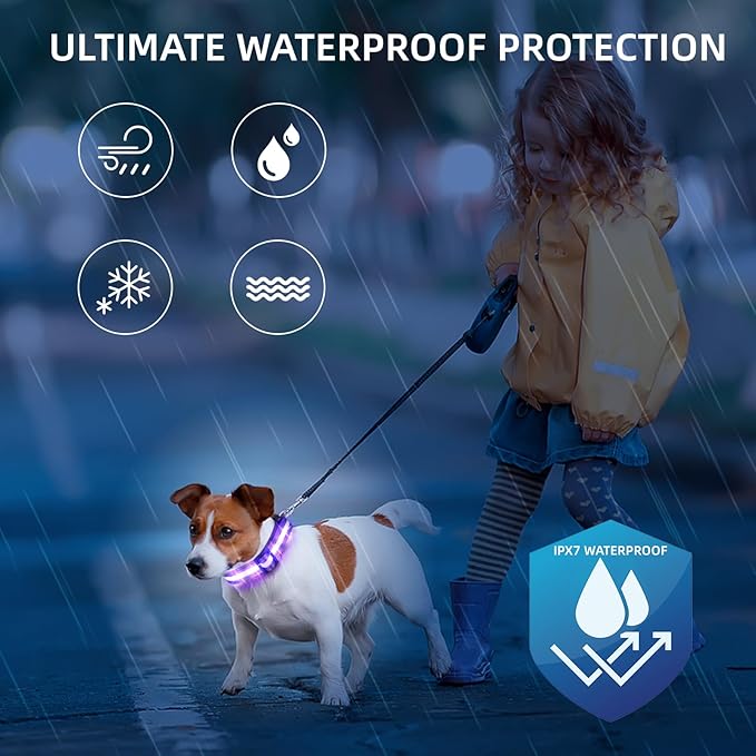 Super Bright LED Dog Collar - Fully Waterproof & Adjustable Glow Collar - USB-C Rechargeable for Night Walking, Safety - Flashing Lighted Collar for Dogs(Purple,Large)