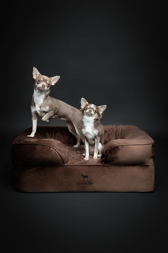 NOAH & PAW Dog Bed, 28x23x11 Inch, Orthopedic Dog Beds for Medium Size Pets, Eggshell Memory Foam Infused with Cooling Gel, Inner Cover, Waterproof, Machine Washable (Velvet Sofa Collection)