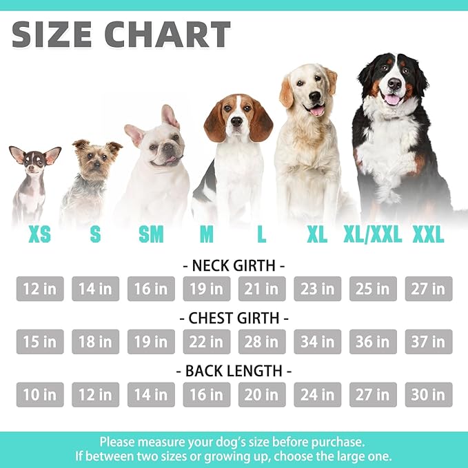 KOOLTAIL Basic Dog Hoodie - Soft & Warm Pet Hoodie Sweater with Leash Hole and Pocket, Dog Winter Coat, Cold Weather Clothes Sweatshirt for Small Medium Large Dogs Puppy Cat Boys Girls Lake Blue M