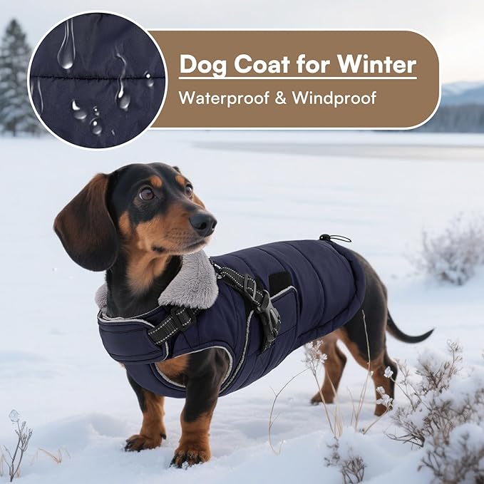 Queenmore Winter Dog Jackets for Large Dogs XXL, Waterproof Winter Coat for Extra Large Pitbull/Great Danes, Warm Puffer Snow Jacket for Cold Weather - Fleece Lining Velcro Closure Reflective, Navy
