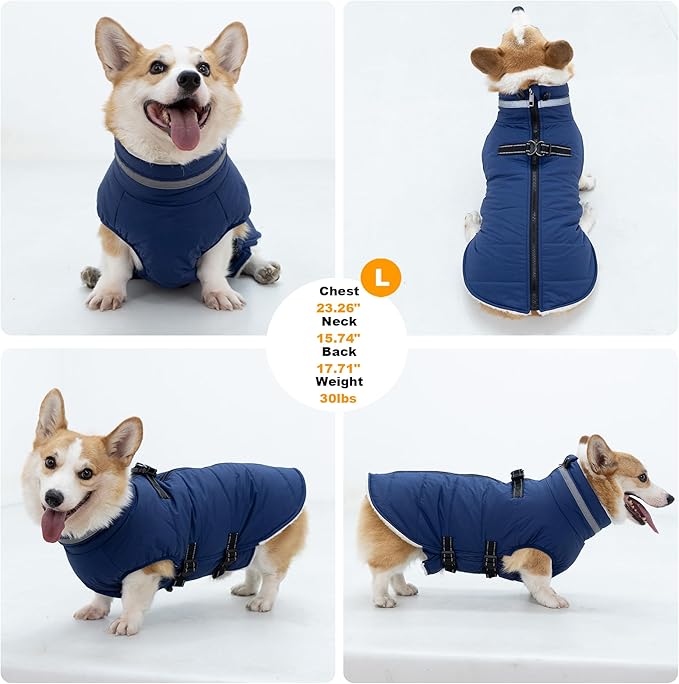 Small Dog Coat with Harness Built-in, Waterproof Reflective Fleece Lined - Warm Windproof Winter Jacket with Back Zipper, Cold Weather Snow Dog Coats - Blue - S