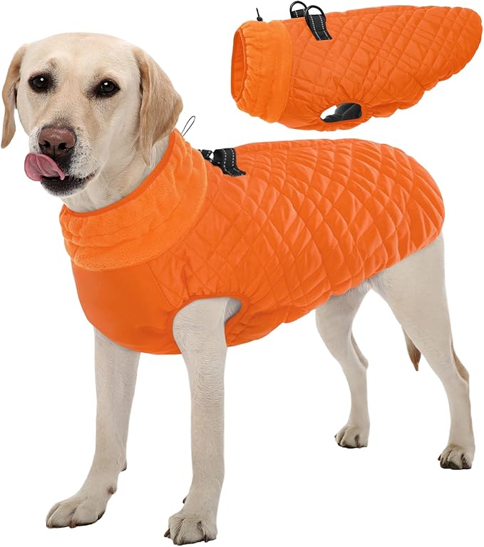 Kuoser XL Insulated Dog Vest | Big Breed Jacket for Huskies & Shepherds | Reinforced Seams Withstand Snow Play, Breathable, Orange XL
