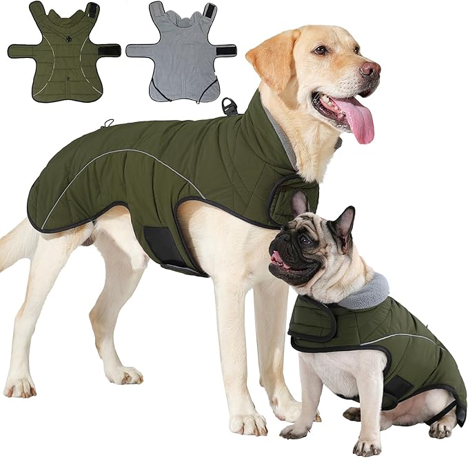HEYWEAN Dog Winter Coat - Waterproof Windproof Reflective Vest for Medium & Large Breeds Adjustable Warm FleeceLined Jacket with Magic Tape & D-Ring for Leash Cold Weather Apparel (Green, Small)