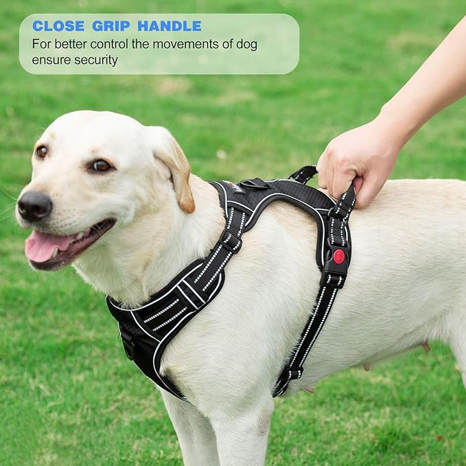 No Pull Dog Harness Adjustable Reflective Oxford Easy Control Medium Large Dog Harness with A Free Heavy Duty 5ft Dog Leash (XL (Neck: 21.5"-33", Chest: 30"-39.5"), Black Harness+Leash)