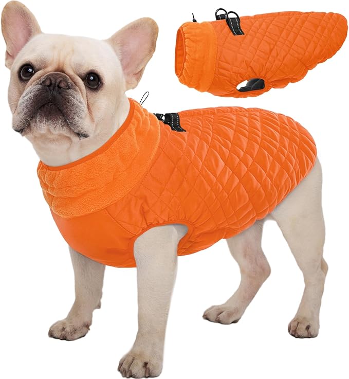 Kuoser Small Dog Jacket | Fleece-Lined Cold Weather Gear for Yorkies Chihuahua | Reflective Edges Guard Mini Breeds on Night Walks, Quick-Dry Fabric, Orange S