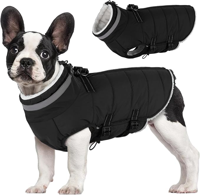 Large Dog Coat with Harness Built-in, Waterproof Reflective Fleece Lined - Warm Windproof Winter Jacket with Back Zipper, Cold Weather Snow Dog Coats - Black - XL