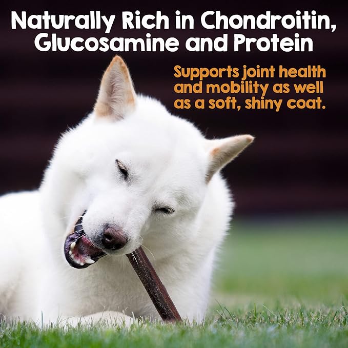 Riley's 12 Inch Beef Collagen Sticks for Dogs, Collagen Chews for Dogs, Bully Stick & Rawhide Alternative, Long Lasting, No Raw Hide Chews, Single Ingredient Dog Treat- 10 ct