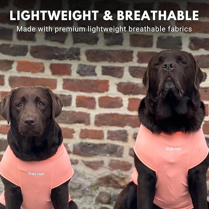 Spark Paws Sunblock Dog T-Shirt, SPF30 Protection, Lightweight Breathable Quick Dry for Dogs with Sensitive Skin - Peach & Mint (Set of 2) - 4XL