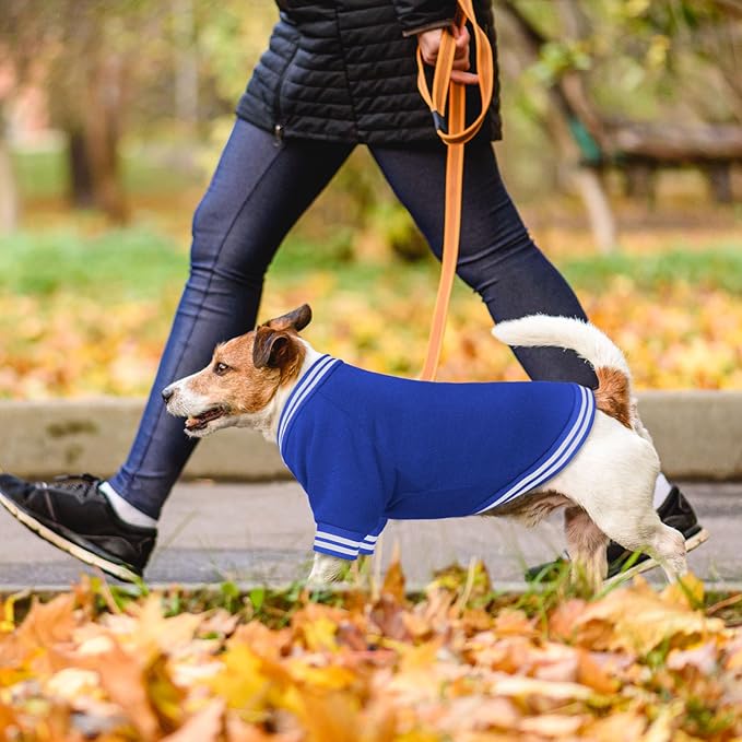 Dog Sweaters for Small Dogs, Brushed Fleece Dog Sweater Baseball Jacket Pet Clothes Soft Warm Sweatshirt Puppy Sweater Boy Girl Pet(Blue-S)