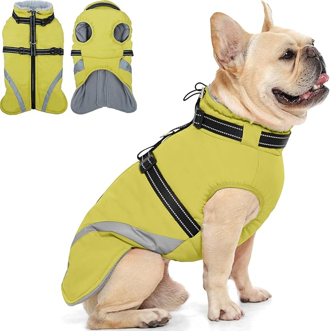 QBLEEV Dog Coat for Small Dogs, Waterproof Dog Jacket with Built-in Harness, Puppy Cold Weather Coats Reflective Vest, Windproof Warm Fleece Snowsuit Winter Coat for Chihuahua, Yorkie, Green, XS