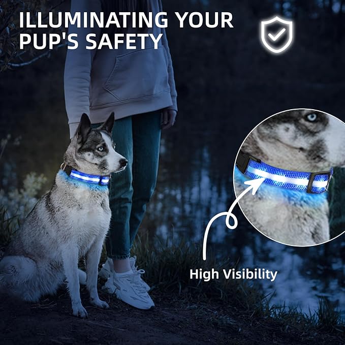 Super Bright LED Dog Collar - Fully Waterproof & Adjustable Glow Collar - USB-C Rechargeable for Night Walking, Safety - Flashing Lighted Collar for Dogs(Blue,Medium)
