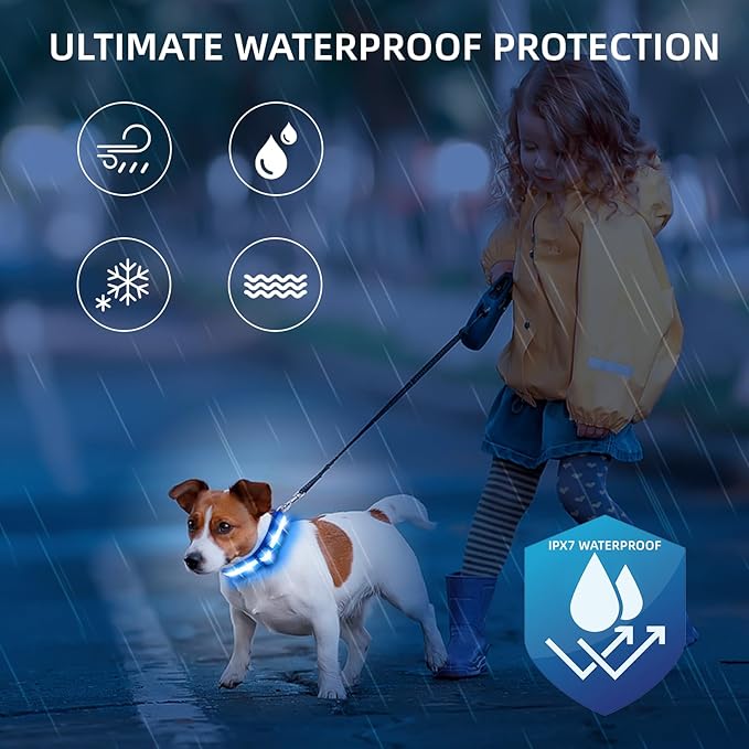 Super Bright LED Dog Collar - Fully Waterproof & Adjustable Glow Collar - USB-C Rechargeable for Night Walking, Safety - Flashing Lighted Collar for Dogs(Blue,Medium)