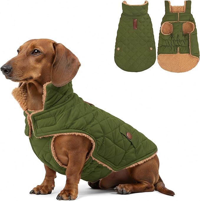 azuza Dog Jacket Waterproof & Windproof Dog Coat for Small Dogs with Thick Fleece, High Collar with Leash Hole, Adjustable Velcro & Elastic Belly, Army Green L