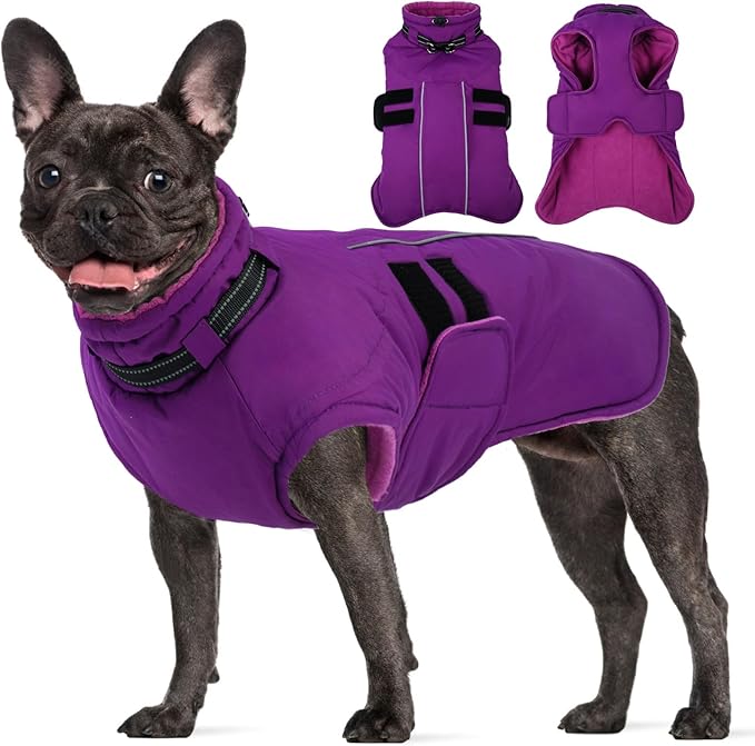 Dog Coats for Medium Dogs, Waterproof Winter Coat with Harness Bulit in, Reflective Reflective Adjustable Hook&Loop Dog Snowsuit for Cold Weather Warm Snow Jacket, M Purple