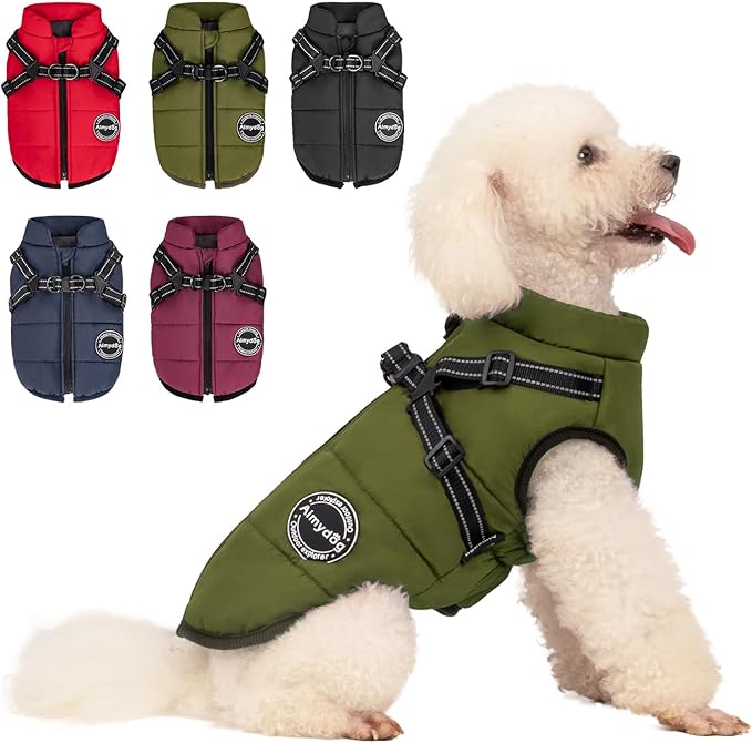 Warm Dog Winter Coat, Fashion Sports Cold Weather Jacket with Built-in Harness, Reflective & Adjustable Comfortable Pet Vest, Waterproof Windproof Apparel for Small Medium Large Dogs (Green)