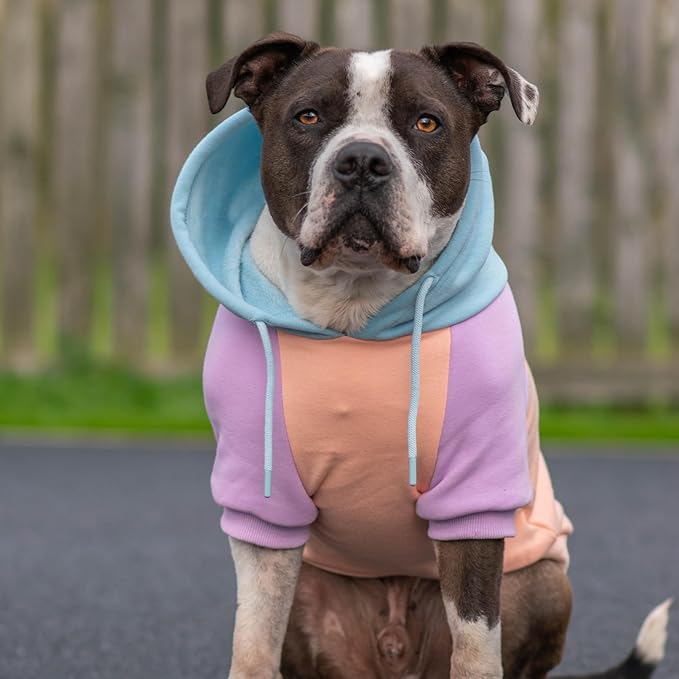 Spark Paws Dog Hoodie – Premium Dog Sweater for Small, Medium, and Large Dogs | Warm Outfits for French Bulldogs, Pitbull, Puppy, Winter Jacket Alternative - Cotton Candy - XL