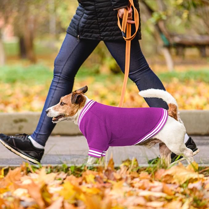 Dog Sweaters for Small Dogs, Brushed Fleece Dog Sweater Baseball Jacket Pet Clothes Soft Warm Sweatshirt Puppy Sweater Boy Girl Pet(Purple-S)