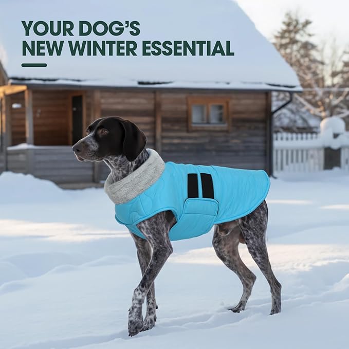 Kuoser Dog Jackets for Small Dogs, Warm Dog Coat with Leash Hole, Winter Jacket Pet Clothes for Cold Weather, Waterproof Doggie Winter Vest for Pug Dachshund, Blue S