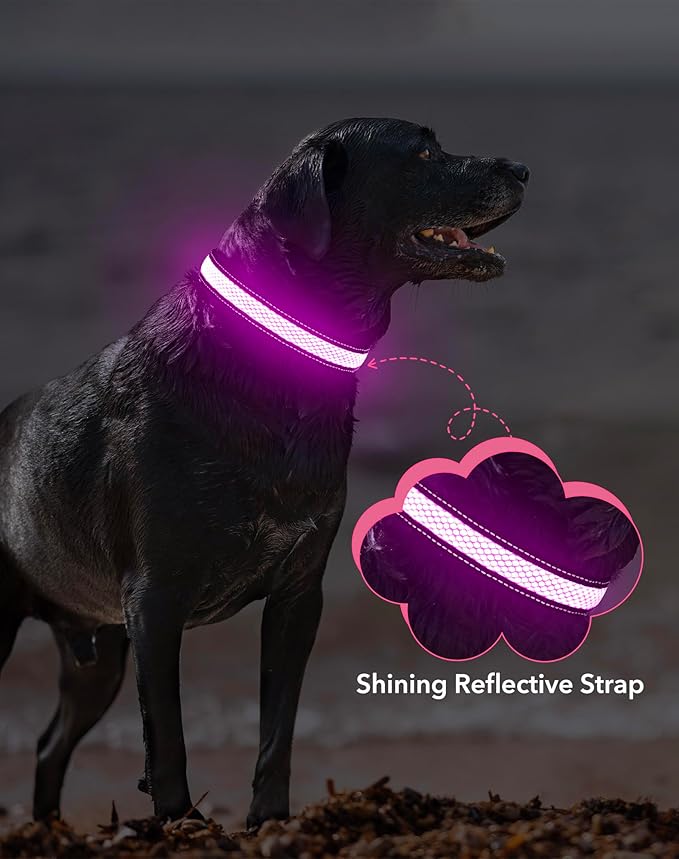 Weesiber Light Up Dog Collar, USB Rechargeable LED Dog Collar Glow in The Dark, Adjustable Reflective Waterproof Dog Collar Light for Night Walking(Pink, S)