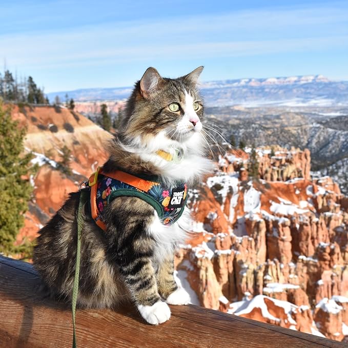 Travel Cat Harness and Leash Set - Adjustable Fit Mesh Cat Harness and Reflective Strap - Comfort Walking Vest for Kitten for Outdoor Walking, Hiking (XS, Hawaiian)