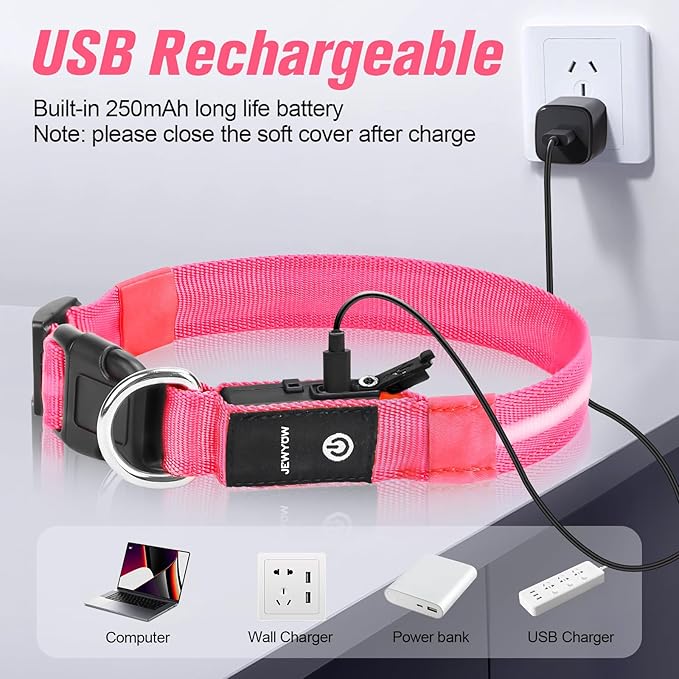 LED Dog Collar, Light Up Dog Collar, USB Rechargeable - Brightest Dog Lights for Night Walking, 6 Light Modes, Adjustable for Dog Safety(Medium, Candy Pink)
