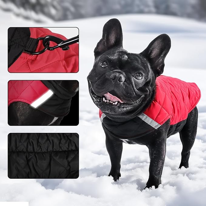 Reversible Waterproof Dog Coat - Adjustable Winter Jacket for Small to Large Breeds, Warm Cold Weather Apparel for Medium Dogs (Khaki & Yellow, Medium (Pack of 1))