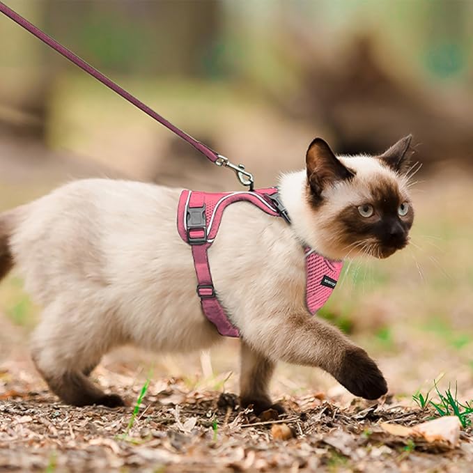 Cat Harness, Cat Harness and Leash for Walking, Escape Proof Soft Adjustable Vest Harnesses for Cats, Easy Control Breathable Reflective Strips Harness, Kitten Harness and Leash Set, Pink, S