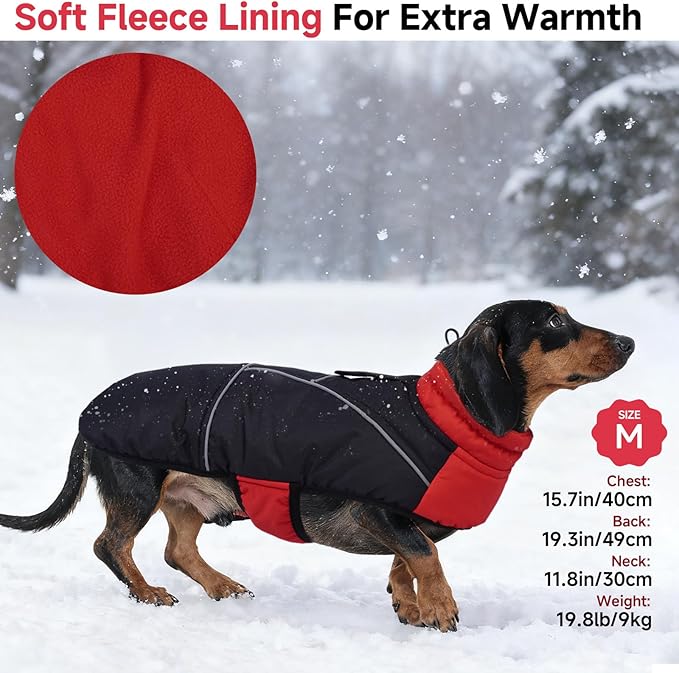 DORA BRIDAL Dachshund Coat, Fleece Lined Dog Winter Coat, Warm Dog Coats with Reflective Strips, Adjustable Waterproof Pet Jacket Clothes, L