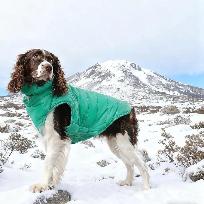 Medium Dog Jacket with Zipper, Dog Winter Coats for Medium Dogs, Warm Waterproof Snow Puffer Vest for French Bulldog, Boston Terrier, Cocker, Beagle, Green M