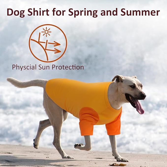 2 Pack Dog Shirt for Medium Dogs - Soft Breathable Summer Cool Tee, Lightweight Comfortable Clothes for Sensitive Skin, Jack Russell, Shihtzu, Indoor Lounging, Walking, Park Play, Orange
