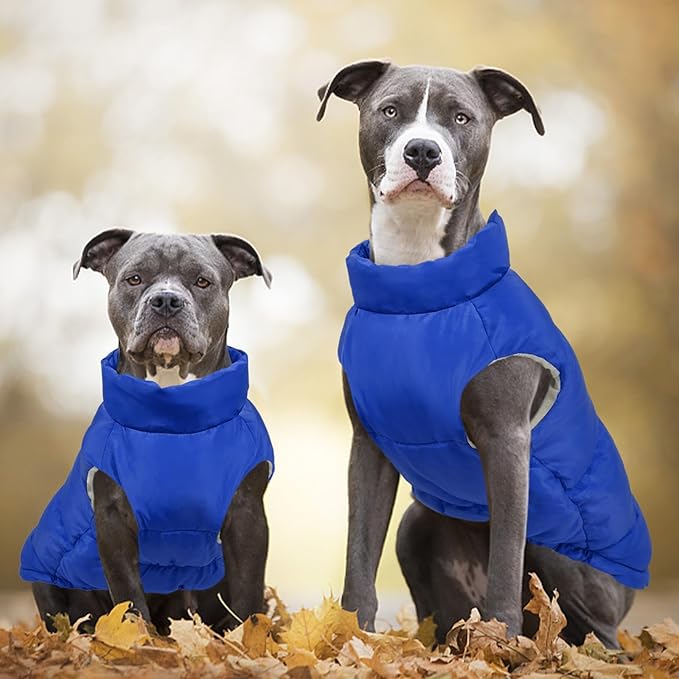 Kuoser Dog Coat Puffer Vest, Warm Dog Jacket Windproof Dogs Cold Weather Coats Pet Snowsuit Padded Vests, Lightweight Puppy Winter Clothes for Small Dogs, Button Design, Easy On/Off, Blue XS