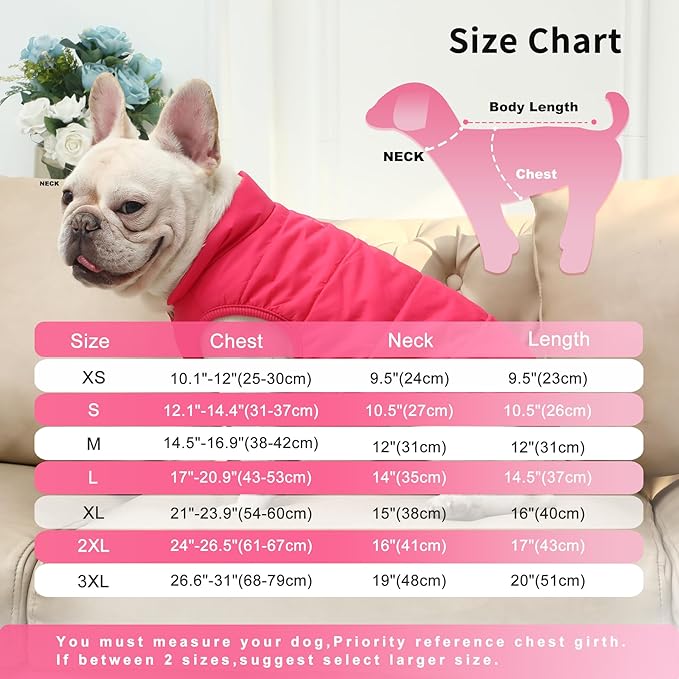 2 Layers Fleece Lined Warm Dog Jacket for Puppy Winter Cold Weather,Soft Windproof Small Dog Coat,Pink M