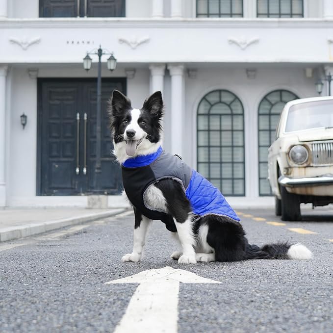 Warm Fleece Dog Coats for Small Dogs,D-Rings Waterproof Puppy Jacket for Cold Winter,Blue XS