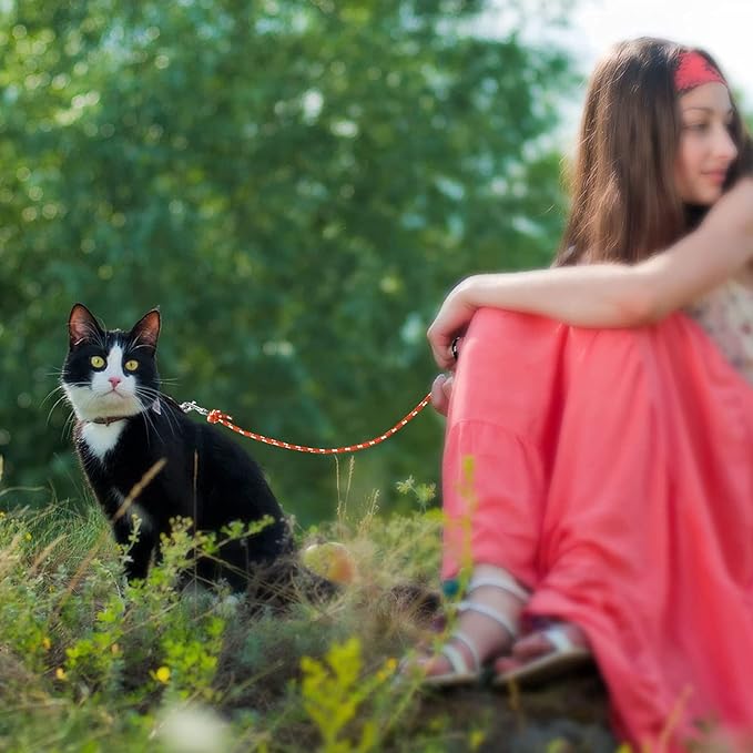 Rypet Reflective Cat Long Leash - 15 FT Escape Proof Walking Leads Yard Long Leash Durable Safe Personalized Extender Leashes Traning Play Outdoor for Kitten, Puppy, Rabbit and Small Animals