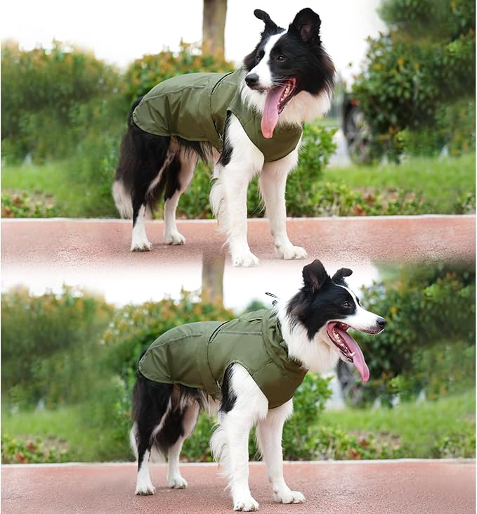 Waterproof Dog Raincoat, Adjustable Lightweight Dog Rain Jacket with Reflective Strip Leash Hole for Small Medium Large Dogs (Green, X-Small(4-9lb))
