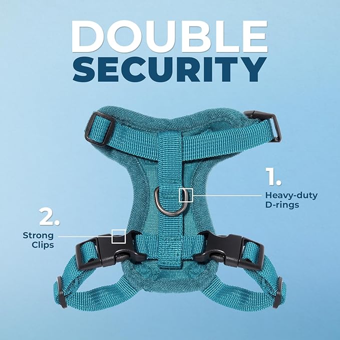 Voyager Step-in Lock Adjustable Cat Harness w. Cat Leash Combo Set with Neoprene Handle 5ft - Supports Small, Medium and Large Breed Cats by Best Pet Supplies - Turquoise, XS