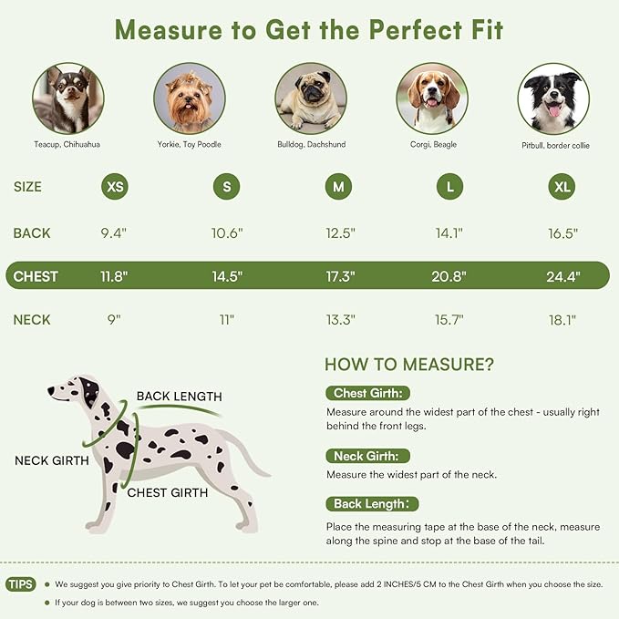 Queenmore Knitted Pullover Dog Sweater,Turtleneck Pet Cat Sweater, Cold Weather Puppy Clothes Stitching Knitwear with Leash Hole for Small Medium Dogs(Green,M)