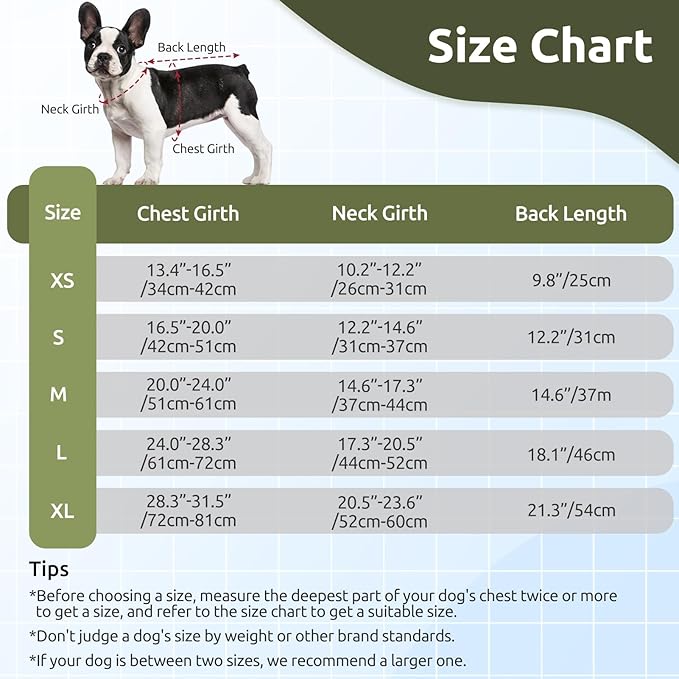 ASENKU Warm Dog Winter Coat, Waterproof Dog Coat for Cold Weather, Fleece Dogs Jacket with Ultra Thick Plush Lining Leash Hole Storage Pockets for Small Dogs (Green, X-Small)